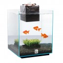 Acuario Fluval Chi 19 L