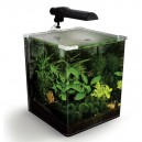 Nano Acuario Fluval Ebi Para Camarones 30 Lts Ref 10511